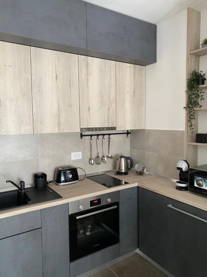 Apartment Pupin Star - City Centre Νόβι Σαντ Εξωτερικό φωτογραφία