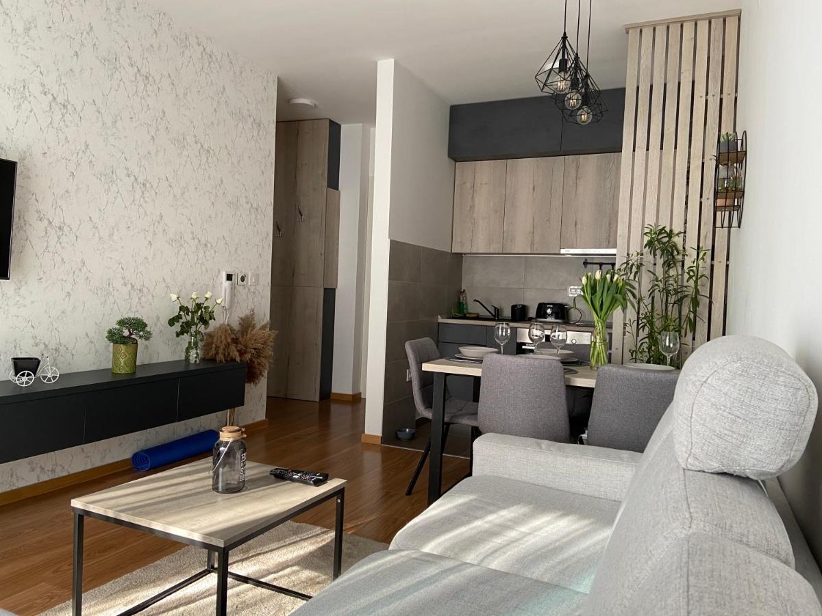 Apartment Pupin Star - City Centre Νόβι Σαντ Εξωτερικό φωτογραφία
